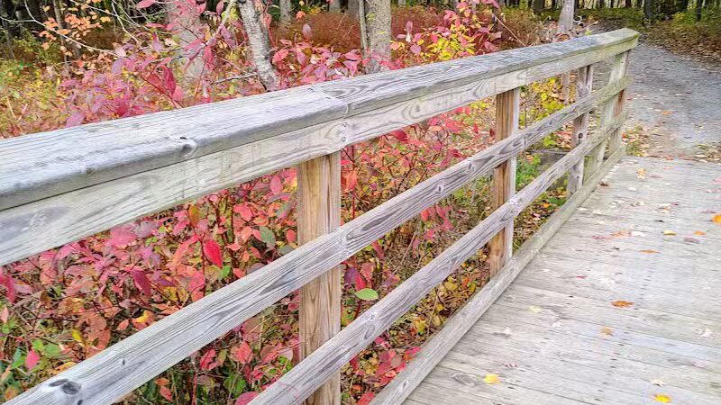 Highland Oaks County Park - Holly,