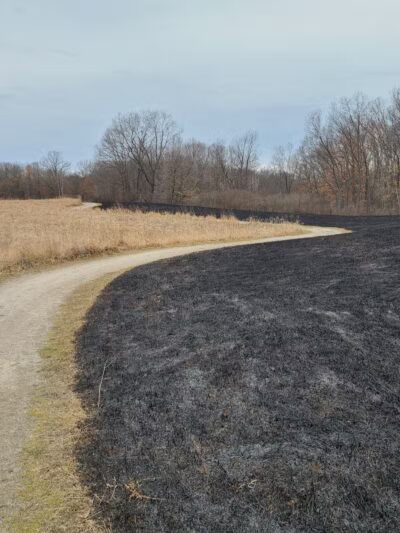 Highland Oaks County Park - Holly,