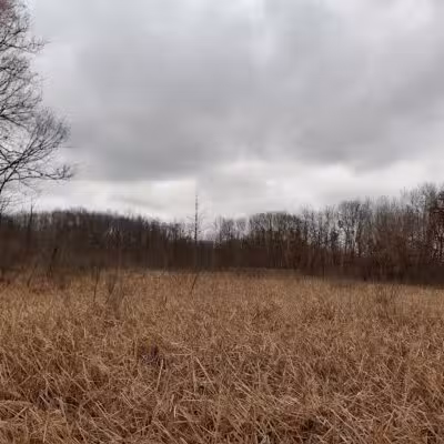 Highland Oaks County Park - Holly,