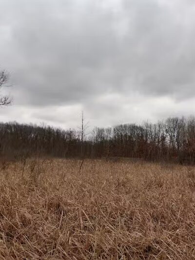 Highland Oaks County Park - Holly,