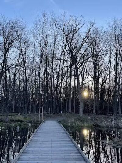 Highland Oaks County Park - Holly,