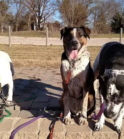 Highland Oaks County Park - Holly,
