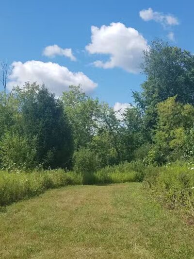 Highland Oaks County Park - Holly,