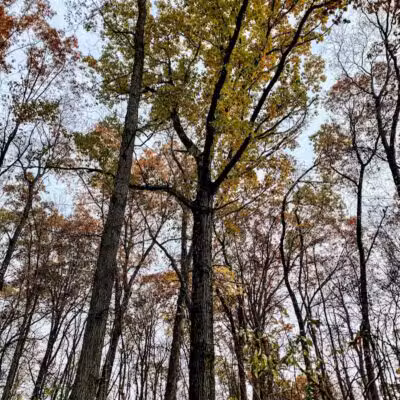 Holly Recreation Area - Holly,