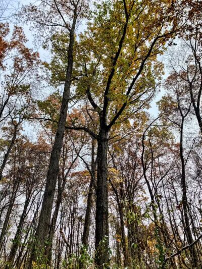 Holly Recreation Area - Holly,