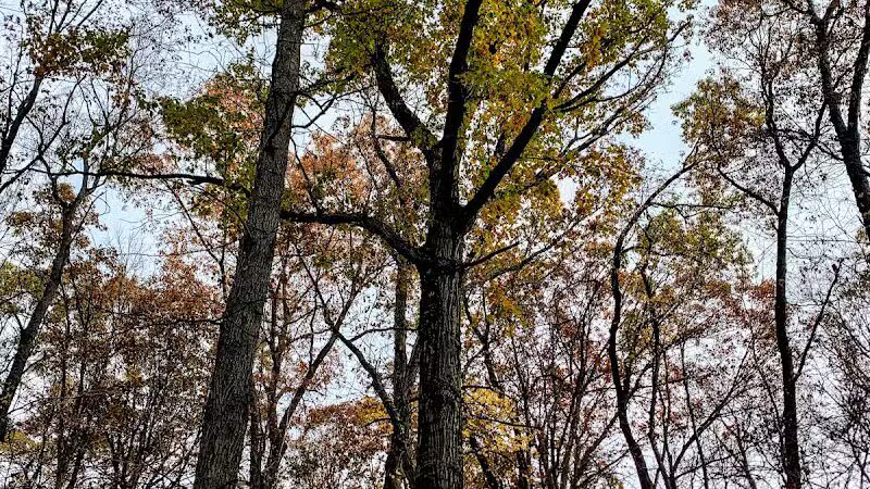 Holly Recreation Area - Holly,