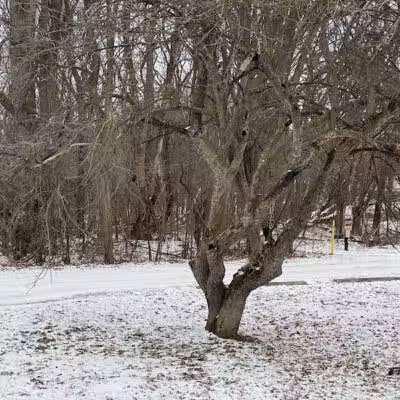 Holly Recreation Area - Holly,