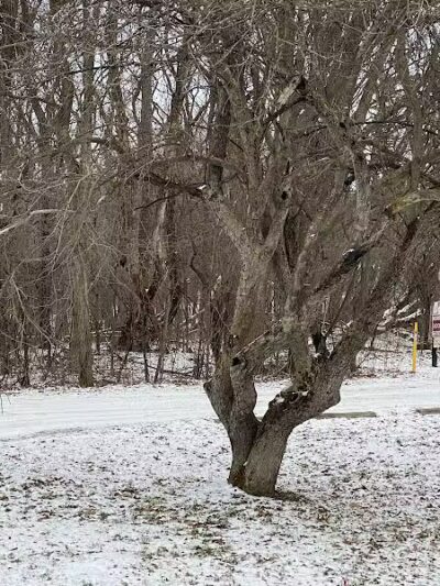 Holly Recreation Area - Holly,