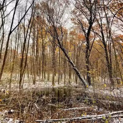 Holly Recreation Area - Holly,