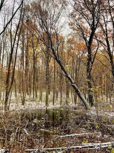 Holly Recreation Area - Holly,