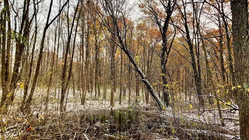 Holly Recreation Area - Holly,