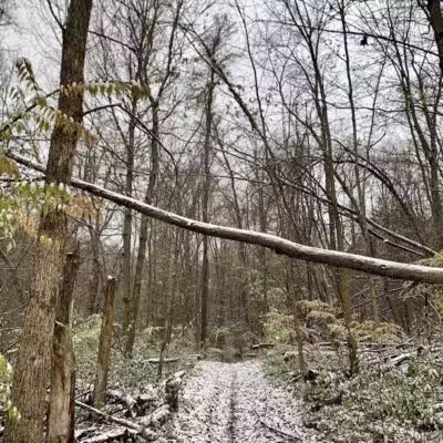 Holly Recreation Area - Holly,