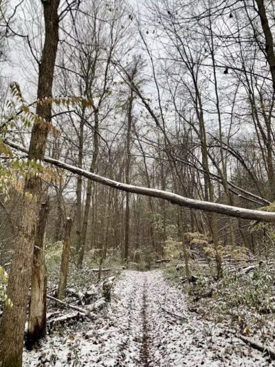 Holly Recreation Area - Holly,