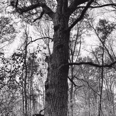 Holly Recreation Area - Holly,