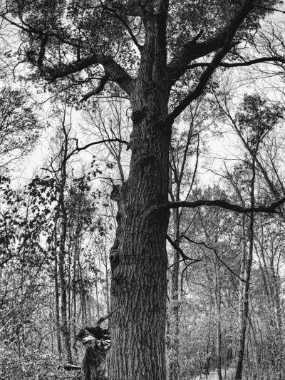 Holly Recreation Area - Holly,