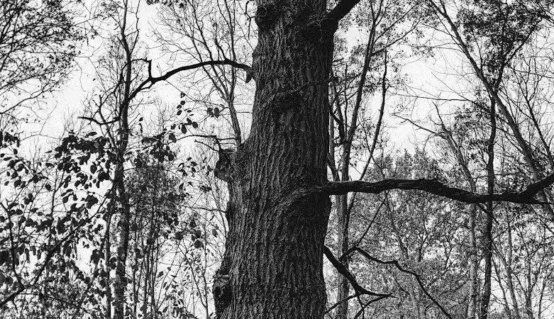 Holly Recreation Area - Holly,