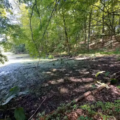 Holly Recreation Area - Holly,