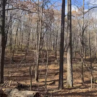 Holly Recreation Area - Holly,