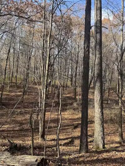 Holly Recreation Area - Holly,