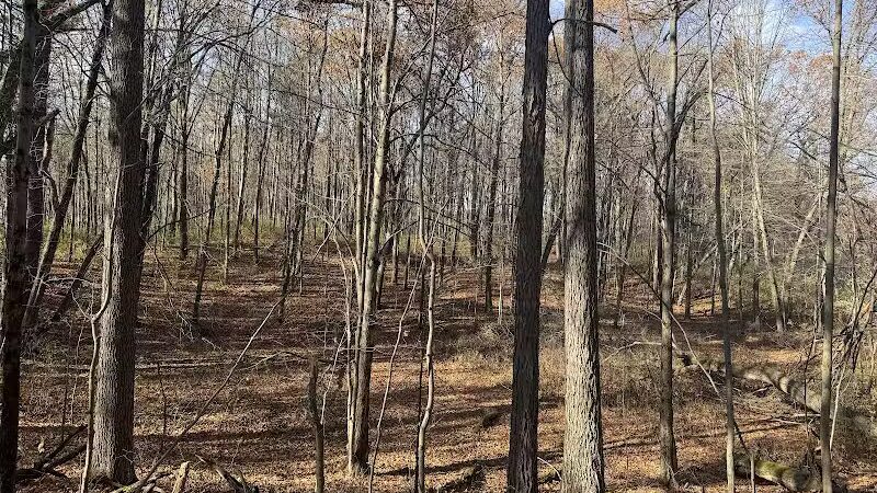 Holly Recreation Area - Holly,