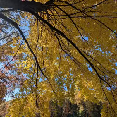 Holly Recreation Area - Holly,