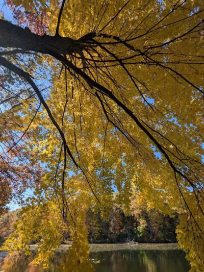 Holly Recreation Area - Holly,