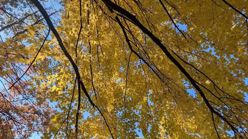 Holly Recreation Area - Holly,