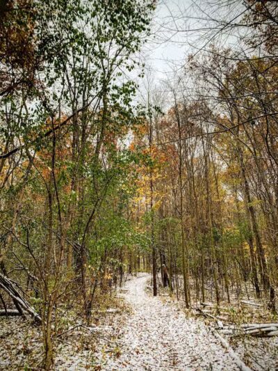 Holly Recreation Area - Holly,