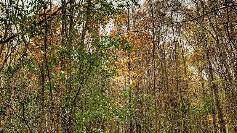 Holly Recreation Area - Holly,