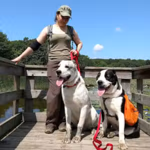 Holly Recreation Area - Holly,