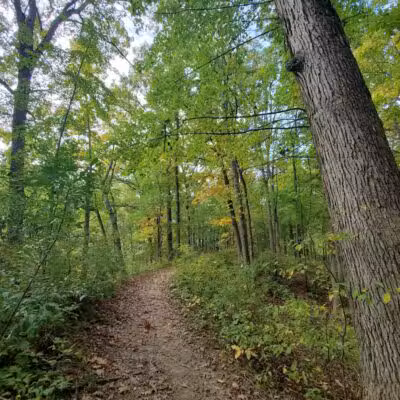Seven Lakes State Park - Holly,