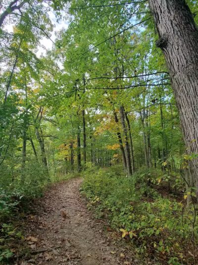 Seven Lakes State Park - Holly,