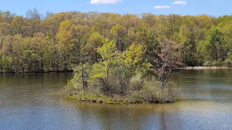Seven Lakes State Park - Holly,