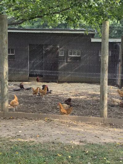 Holmdel Park - Holmdel, NJ