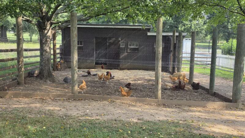 Holmdel Park - Holmdel, NJ