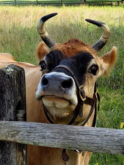 Holmdel Park - Holmdel, NJ