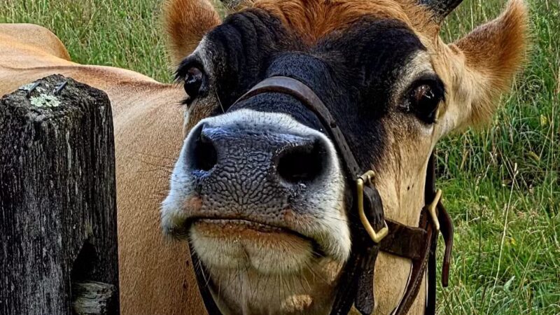 Holmdel Park - Holmdel, NJ