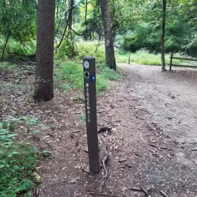 Holmdel Park - Holmdel, NJ