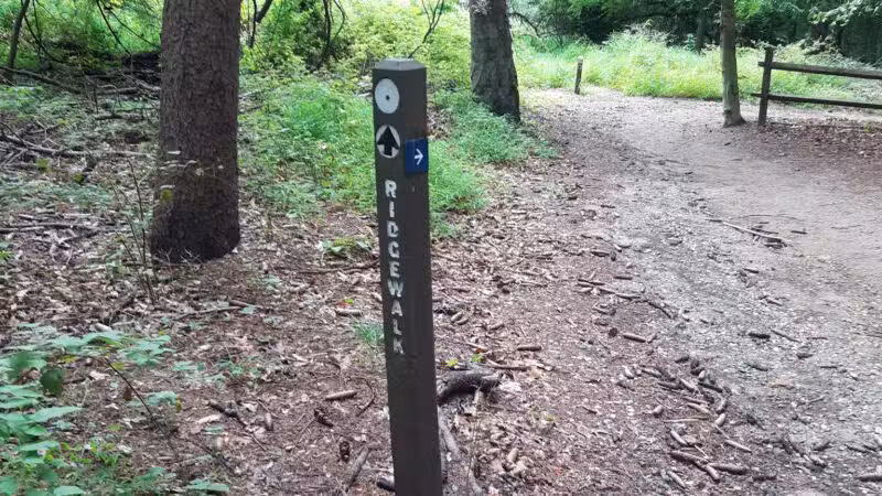 Holmdel Park - Holmdel, NJ