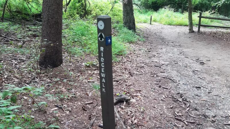 Holmdel Park - Holmdel, NJ