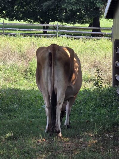 Holmdel Park - Holmdel, NJ