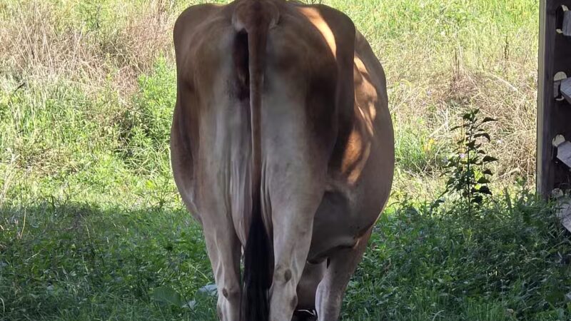 Holmdel Park - Holmdel, NJ