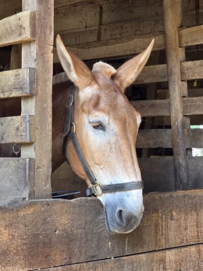Holmdel Park - Holmdel, NJ