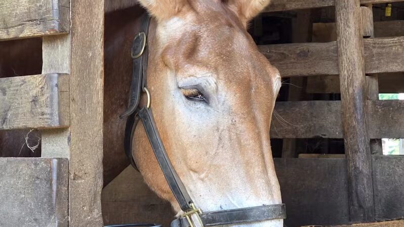 Holmdel Park - Holmdel, NJ