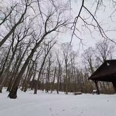 Burchfield Park - Holt,