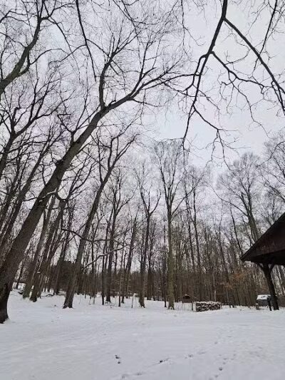 Burchfield Park - Holt,