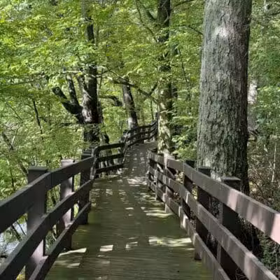 Burchfield Park - Holt,