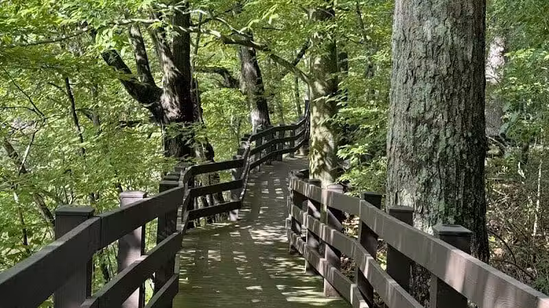 Burchfield Park - Holt,