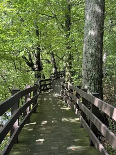 Burchfield Park - Holt,