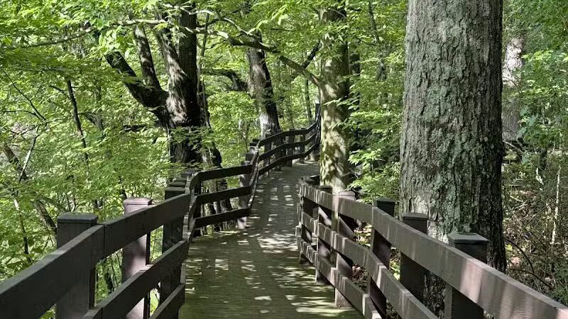 Burchfield Park - Holt,